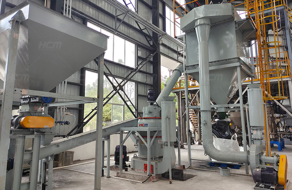 ​What is the ore grinding output of the HCM mini Raymond mill?